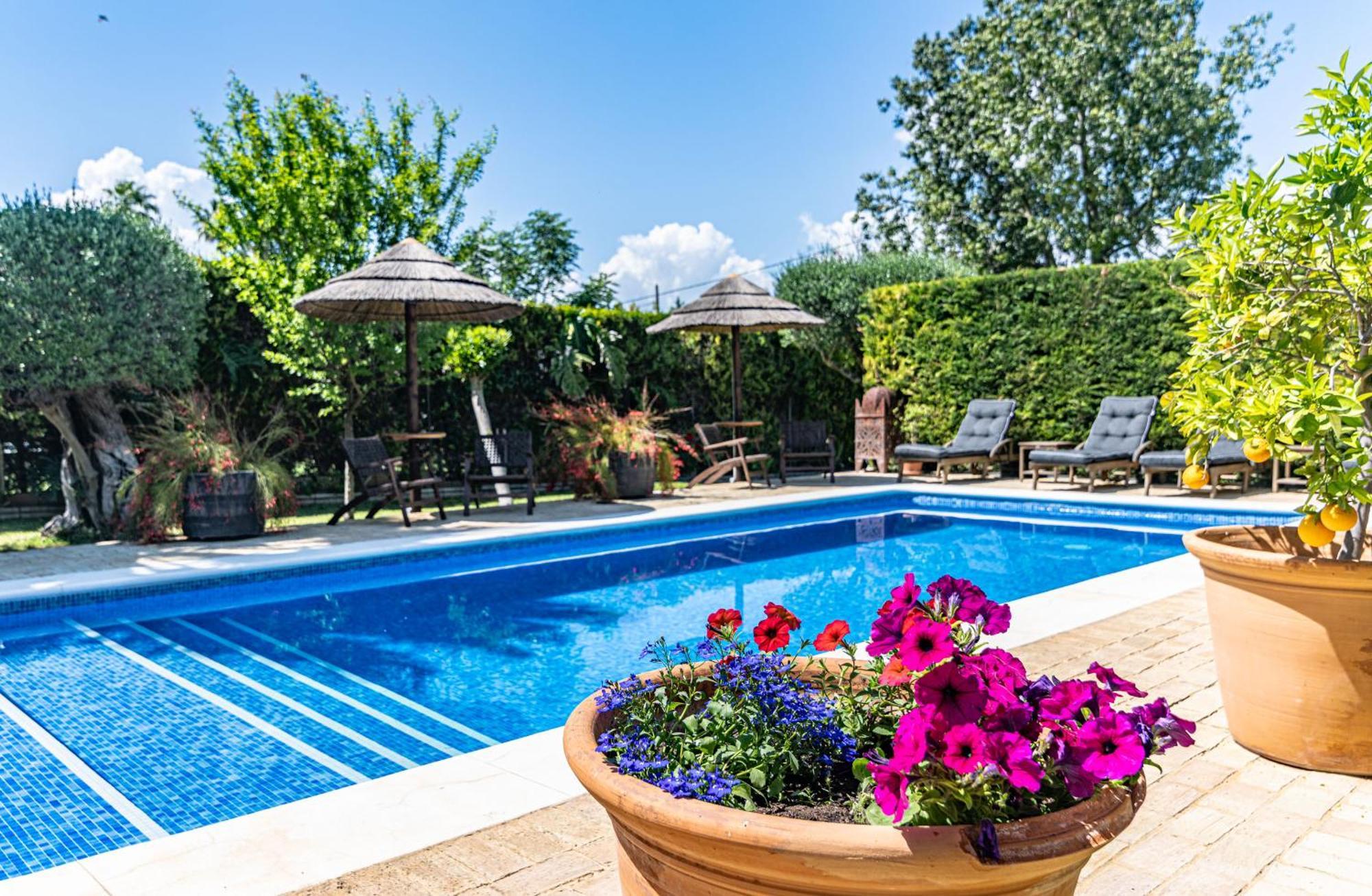 אספרטינס B&B Casa Adelante Sevilla מראה חיצוני תמונה