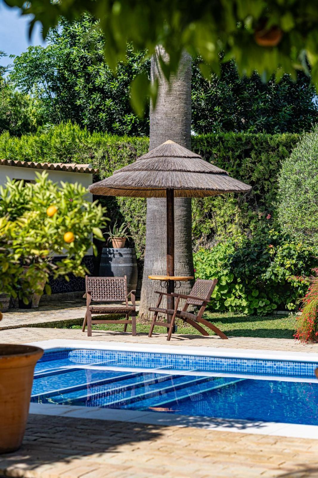 אספרטינס B&B Casa Adelante Sevilla מראה חיצוני תמונה